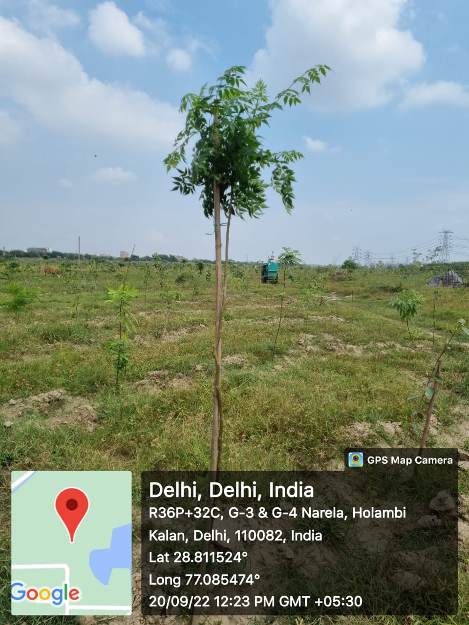 Compensatory Afforestation